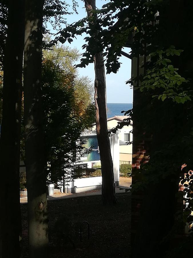 Ostseetraum Koserow ภายนอก รูปภาพ