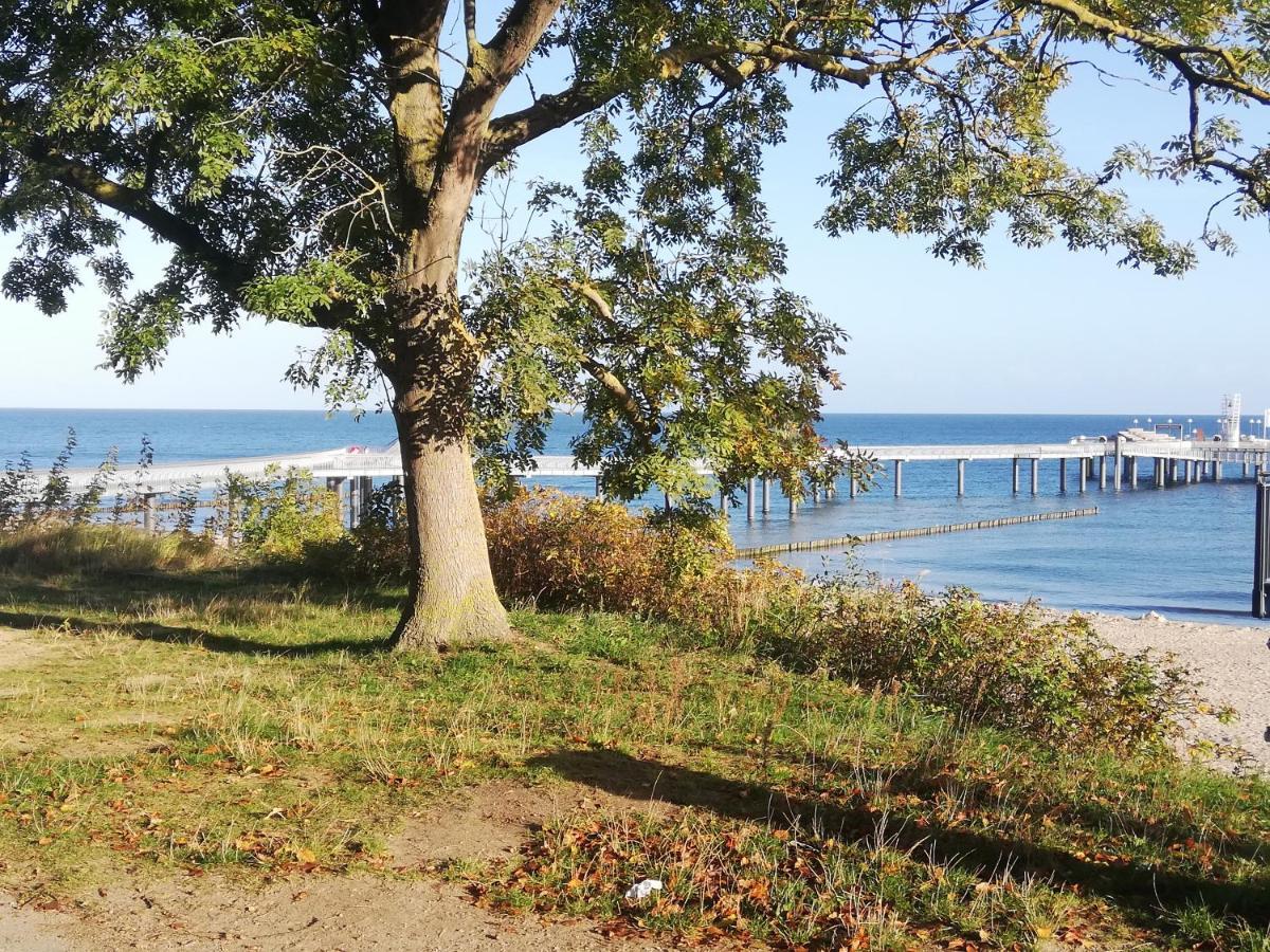 Ostseetraum Koserow ภายนอก รูปภาพ